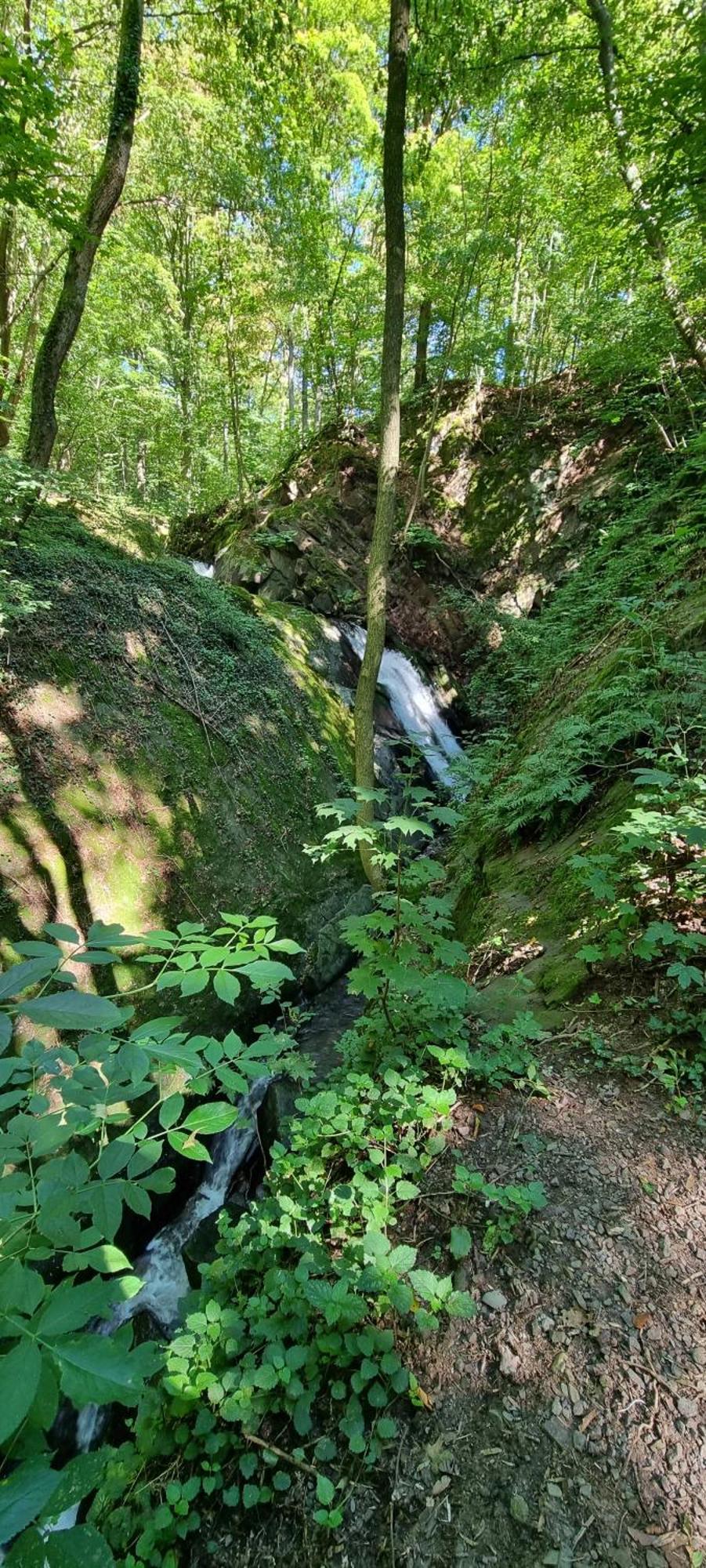 Zur Alten Tischlerei * Herzberg am Harz