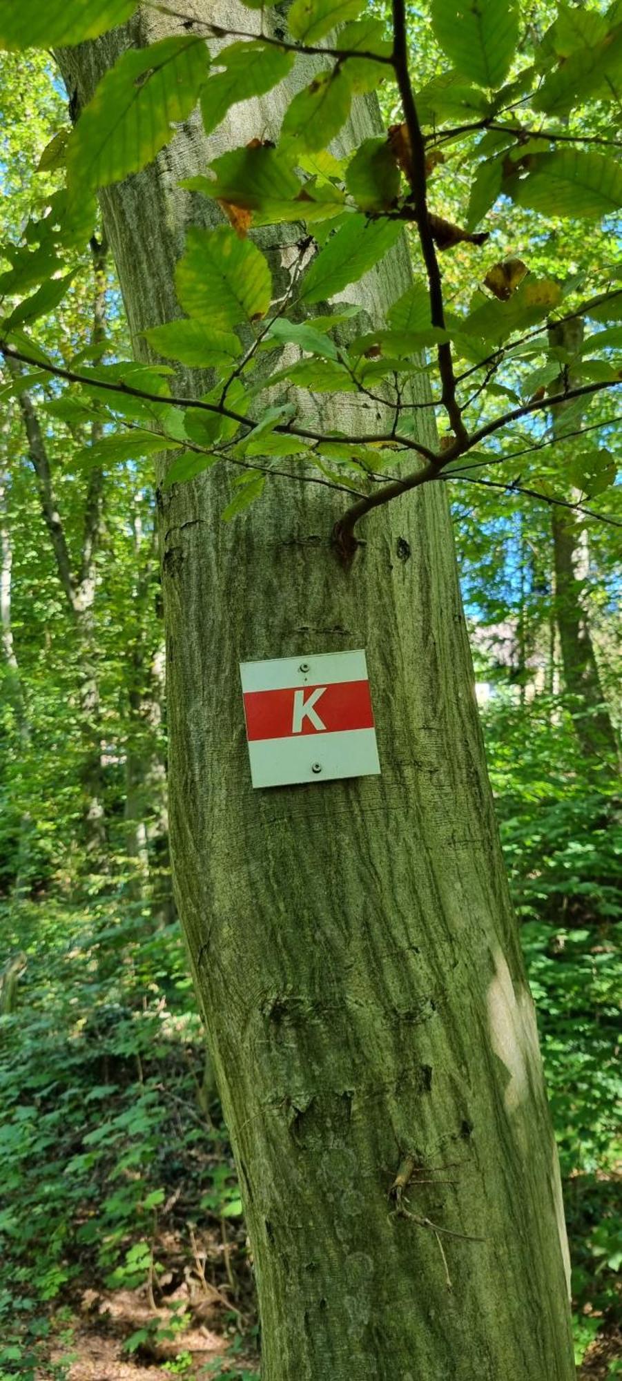 Zur Alten Tischlerei *