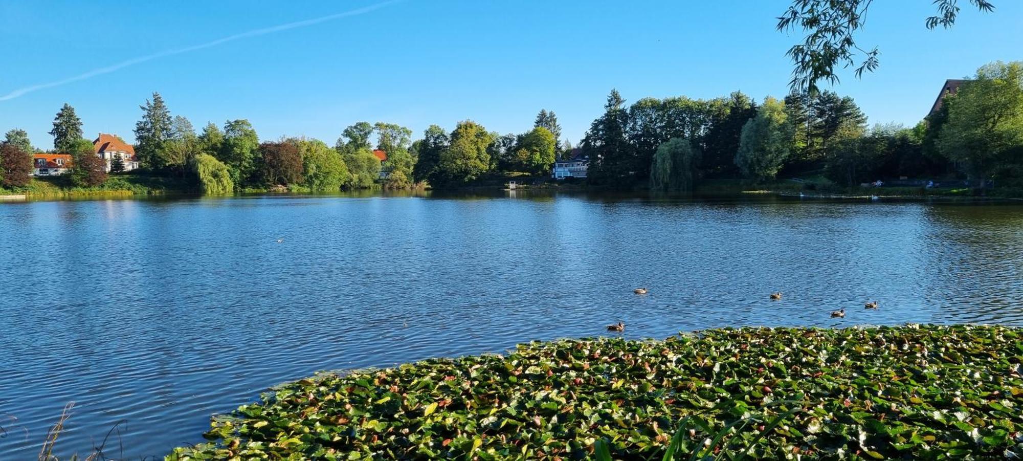 Zur Alten Tischlerei