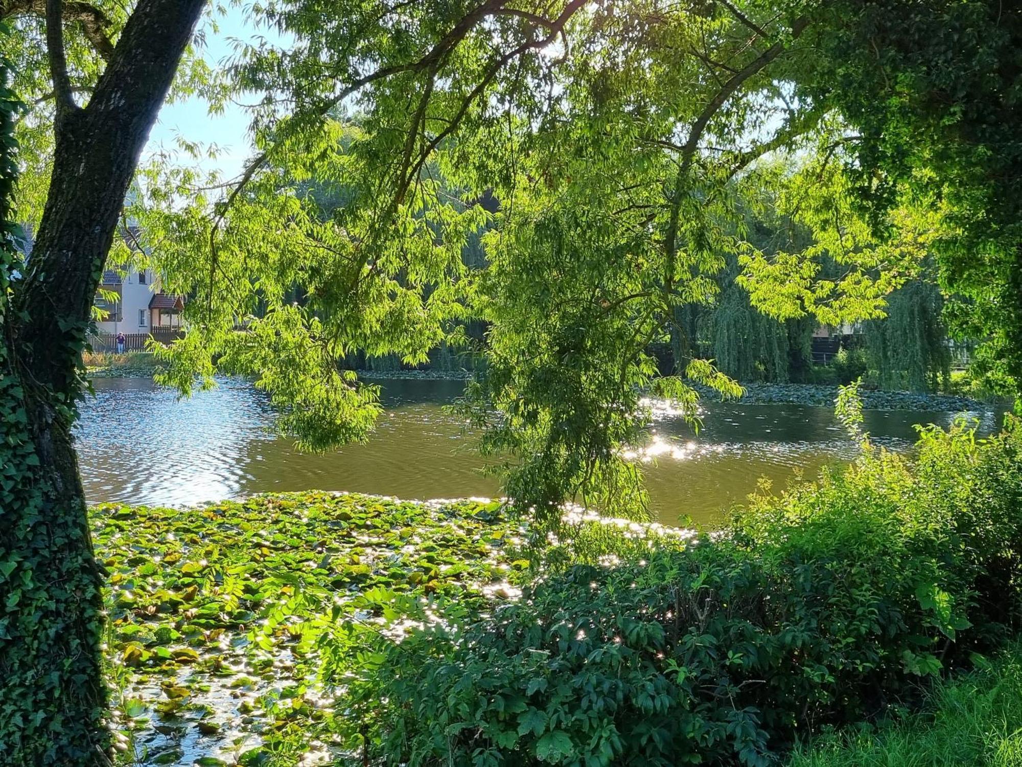Zur Alten Tischlerei Homestay *